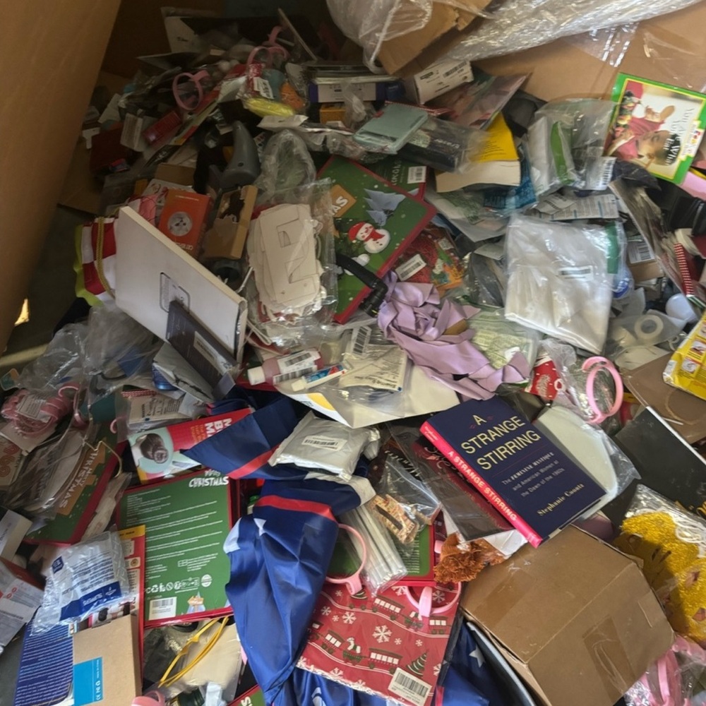 Amazon/Target/Department store mystery box